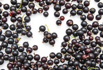 black currant berries on a white background