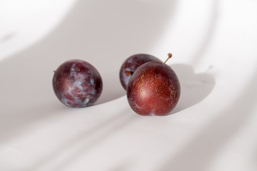 plums on white background single cut isolated