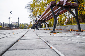 The perspective of the row of wooden benches in autumn park. Autumn landscape