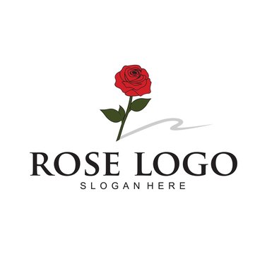 red rose logo design template. with shadow r