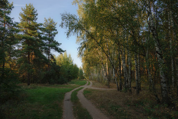 Fototapeta premium Природа