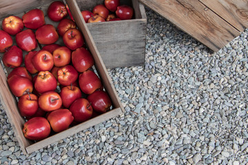 Fresh apple in wood box pick from farm and ready to transport to market or supermarket for customer