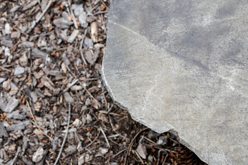 Rock surface with stone and dried leaf ground backdrop