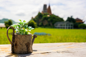 Vase with rice fields background