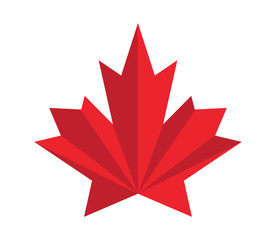 Maple Leaf Vector illustration design Logo template