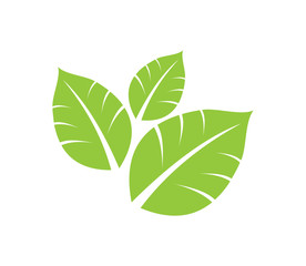 Green eco leaf logo element symbol, vector template,