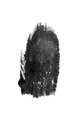 fingerprint pattern isolated on white - Image
