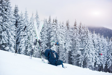 Tourist backpack, ski and poles laid out on snow on mountain descent. Snow-covered dense coniferous forest on background. Concept of promoting outdoors winter vacation and activities.