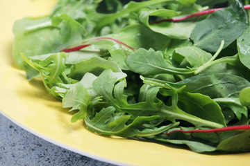 A plate with green salad	