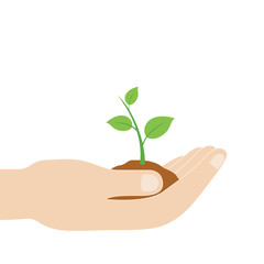 A hand holding a baby plant dig inside soil.Ecology concept.