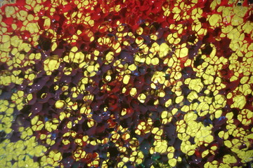Sponge surface painted with poster paint red, green and bule.