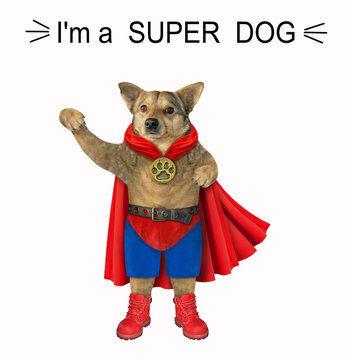 Super Dogs