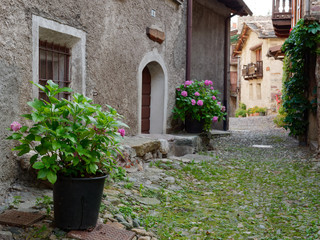 Fototapeta na wymiar a cozy courtyard with a lawn of an Italian house