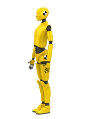 Crash Test Dummy Isolated