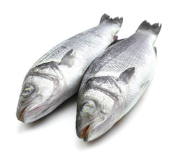 Fresh seabass fish on white background