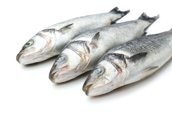 Fresh seabass fish on white background