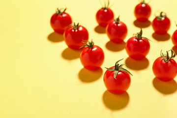 Fresh tomatoes on color background