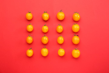 Fresh tomatoes on color background