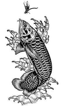 arowana dragon fish jump