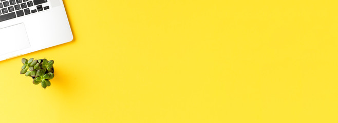 Office desktop with laptop and small green plant. Elegant workspace. Banner