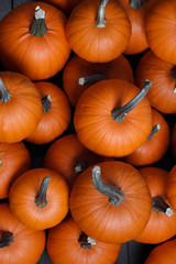 Many pumpkins background