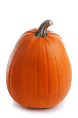 Obraz premium Pumpkin isolated on white