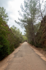 Road of the ebro greenway in Tarragona