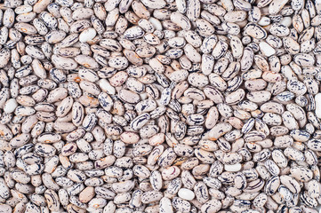Coffee ripple beans close-up. Macro shot.