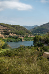 Fototapeta na wymiar The Ebro river on the way to Tortosa in Tarragona