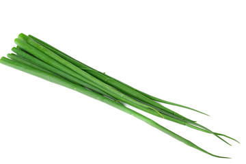 Obraz na płótnie Canvas cut of green onion isolated on white background