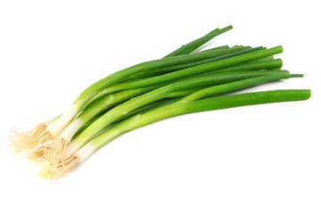 bunch of green onion isolated on white background