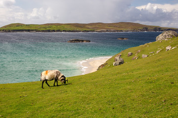Inishbofin
