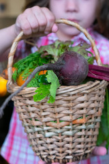 Fototapeta na wymiar Basket with the vegetables in a hands of a kid girl.