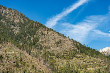 Trees fallen from the wind in November 2018, Predazzo, Val di Fiemme. Natural disaster in Trentino Alto Adige, Italy, Europe