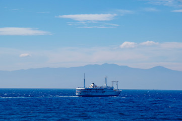 伊豆半島をバックに航行する客船