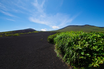 日本で唯一の砂漠である伊豆大島の裏砂漠