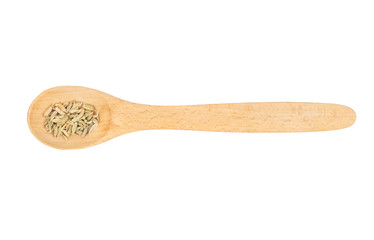 Dry fennel in spoon