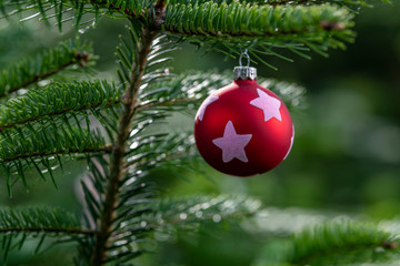 Weihnachtsschmuck an einem Tannenbaum aus papier , Lebkuchen oder Glas