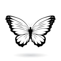 Black Butterfly Silhouette Illustration
