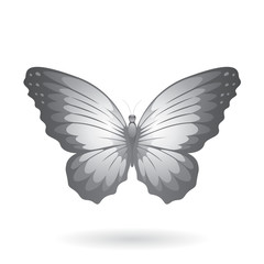 Colorful Butterfly Illustration