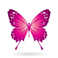 Colorful Butterfly Illustration