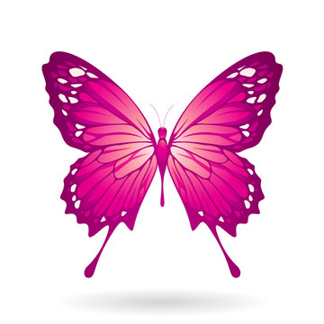 Colorful Butterfly Illustration