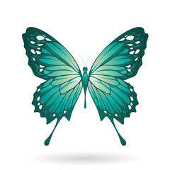 Colorful Butterfly Illustration