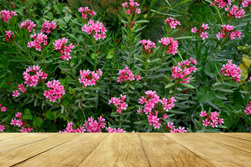 Empty top wooden table on pretty flowers blooming in garden