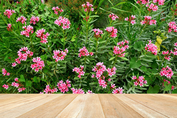 Empty top wooden table on beautiful flowers blooming in garden