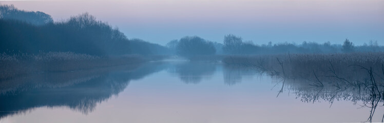 Early Morning at Shapwick Heath