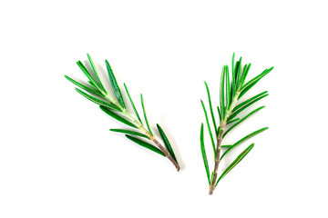 Top view, Branch and Leaf of fresh raw rosemary isolated on white background. Tiwgs - leaf green. Organic and herbal nature concept, Flat lay