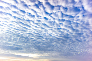 Fototapeta premium Cirrocumulus clouds with blue sky in the morning