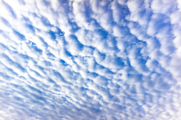 Cirrocumulus clouds with blue sky in the morning