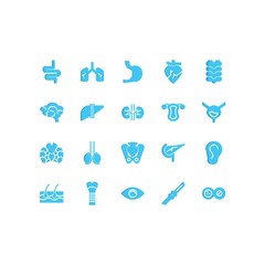 human organ flat vector icon